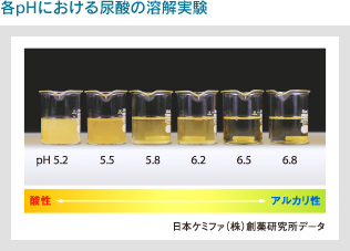 各pHにおける尿酸の溶解実験