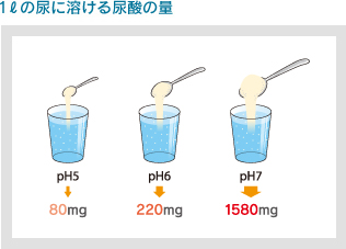 1lの尿に溶ける尿酸の量