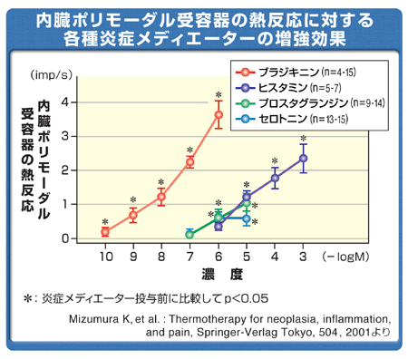 内臓ポリモーダル受容器の熱反応に対する各種炎症メディエーターの増強効果